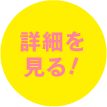 詳細を見る